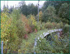 wildlife bridge across a major road