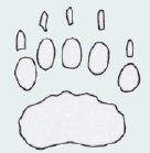 Representation of a badger's footprint
