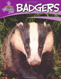 Badgers (British Wildlife)