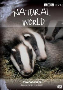 Natural World - Badgers Secrets Of The Sett [DVD]