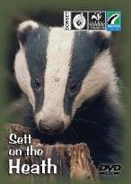 Sett on the Heath