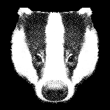 Badgers, Badgers and more Badgers - Click here to enter the Badgerland web site
